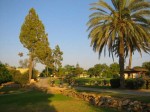 Kibbutz Kfar Menachem, wo die Grabungsmannschaft wohnte